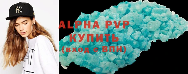 индика Горно-Алтайск