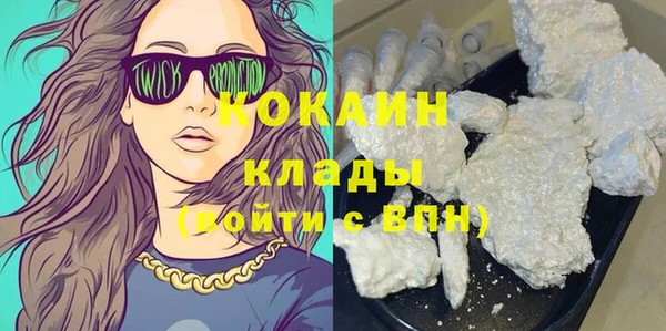 прущие грибы Аша