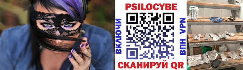 Псилоцибиновые грибы прущие грибы где купить Мичуринск