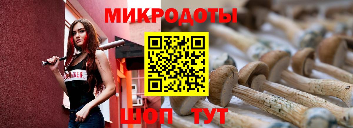 Псилоцибиновые грибы Cubensis  Вход с VPN  Мичуринск 