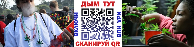 Бошки Шишки VHQ  сколько стоит  OMG   Мичуринск 
