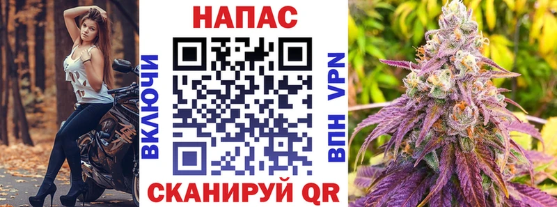 Конопля индика Мичуринск